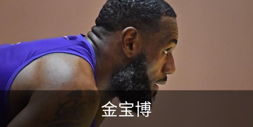 关于金宝博